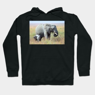 Close Together - Elephants, Serengeti, Tanzania. Hoodie